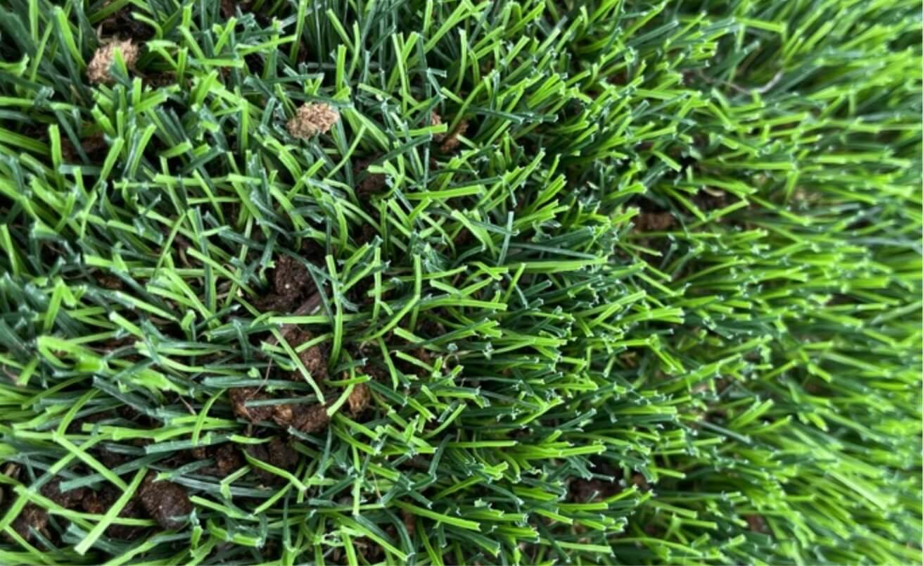 COOOL Turfを導入されたご家族様